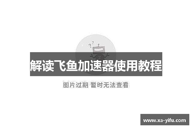 解读飞鱼加速器使用教程