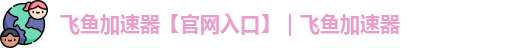飞鱼加速器使用教程